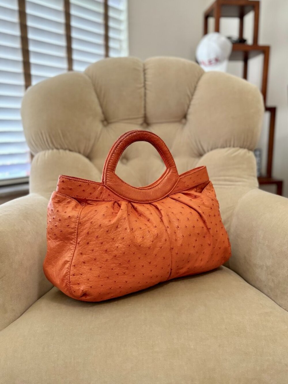 VTG Auth. LAI Italy Genuine Ostrich Satchel Tote Bag... STUNNING!